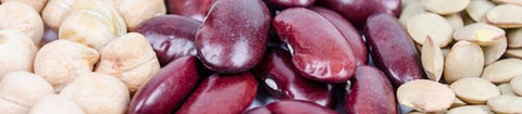 Fitatos como método preventivo de la litiasis renal