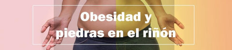 Obesidad y Piedras en el riñón