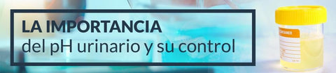 La importancia del pH urinario y su control