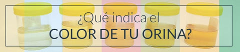 ¿Qué indica el color de tu orina?