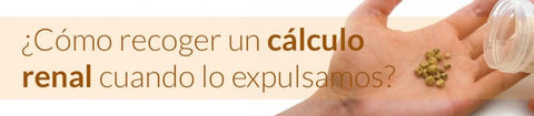 ¿Cómo recoger un cálculo renal cuando lo expulsamos?
