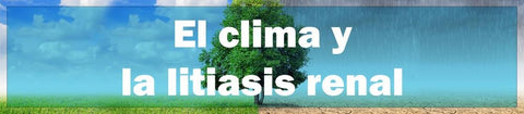 El Clima y la litiasis renal
