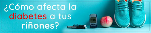 ¿Cómo afecta la diabetes a tus riñones?
