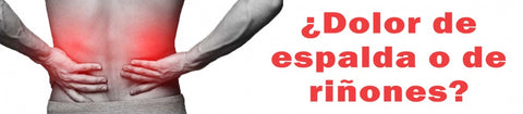 ¿Dolor de espalda o de riñones?