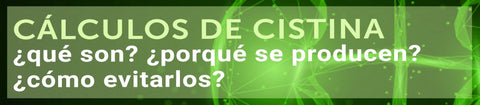 Cálculos de cistina: ¿qué son? ¿porqué se producen? ¿cómo evitarlos?