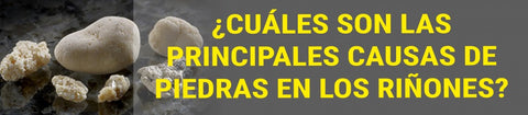 ¿Cuáles son las principales causas de piedras en los riñones?
